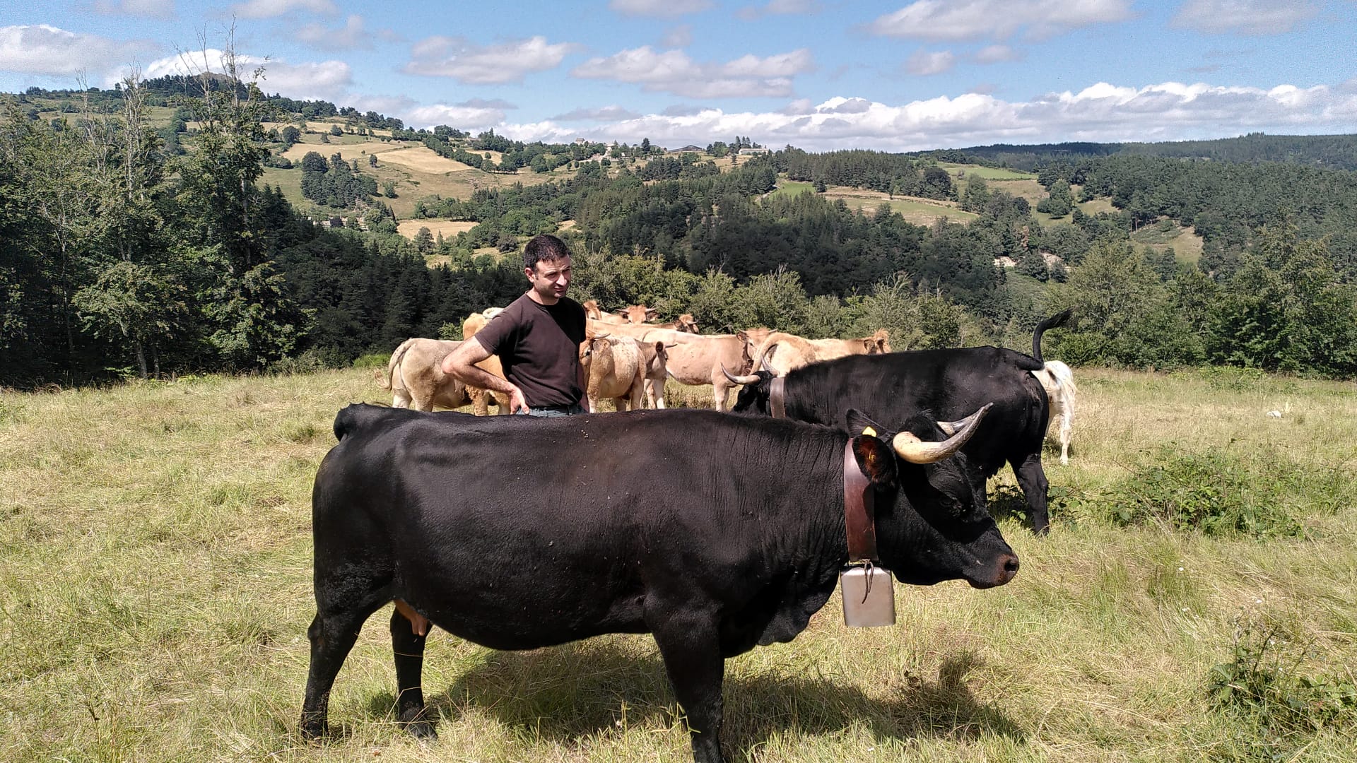 Margeride au fil des ondes, portraits suspendus